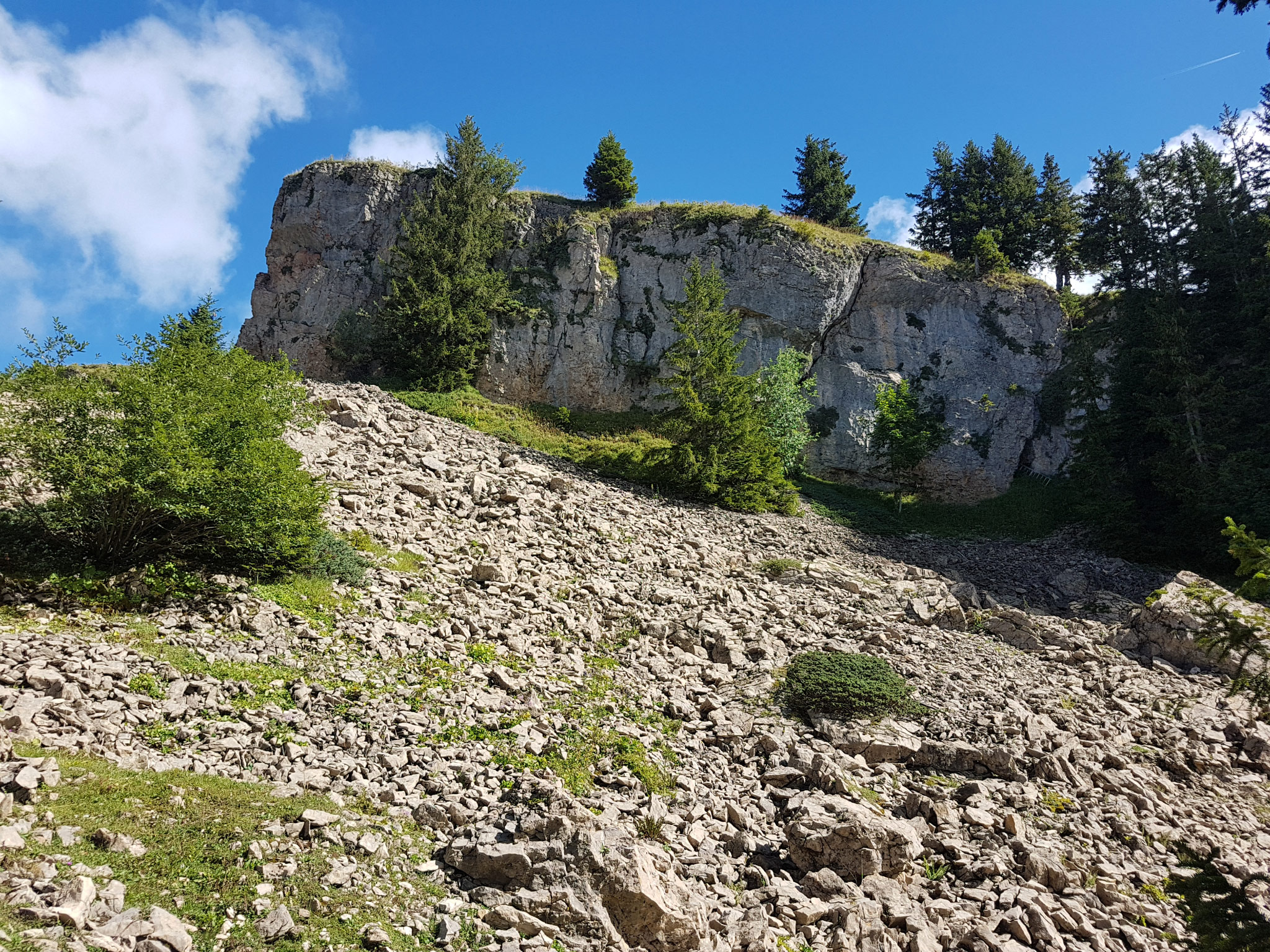 Andelsbuch, Schwarzenberg